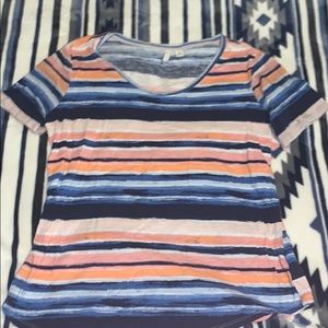 cato size medium short sleeve shirt